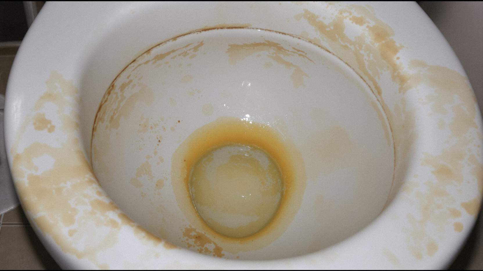 洗浄前のトイレの様子