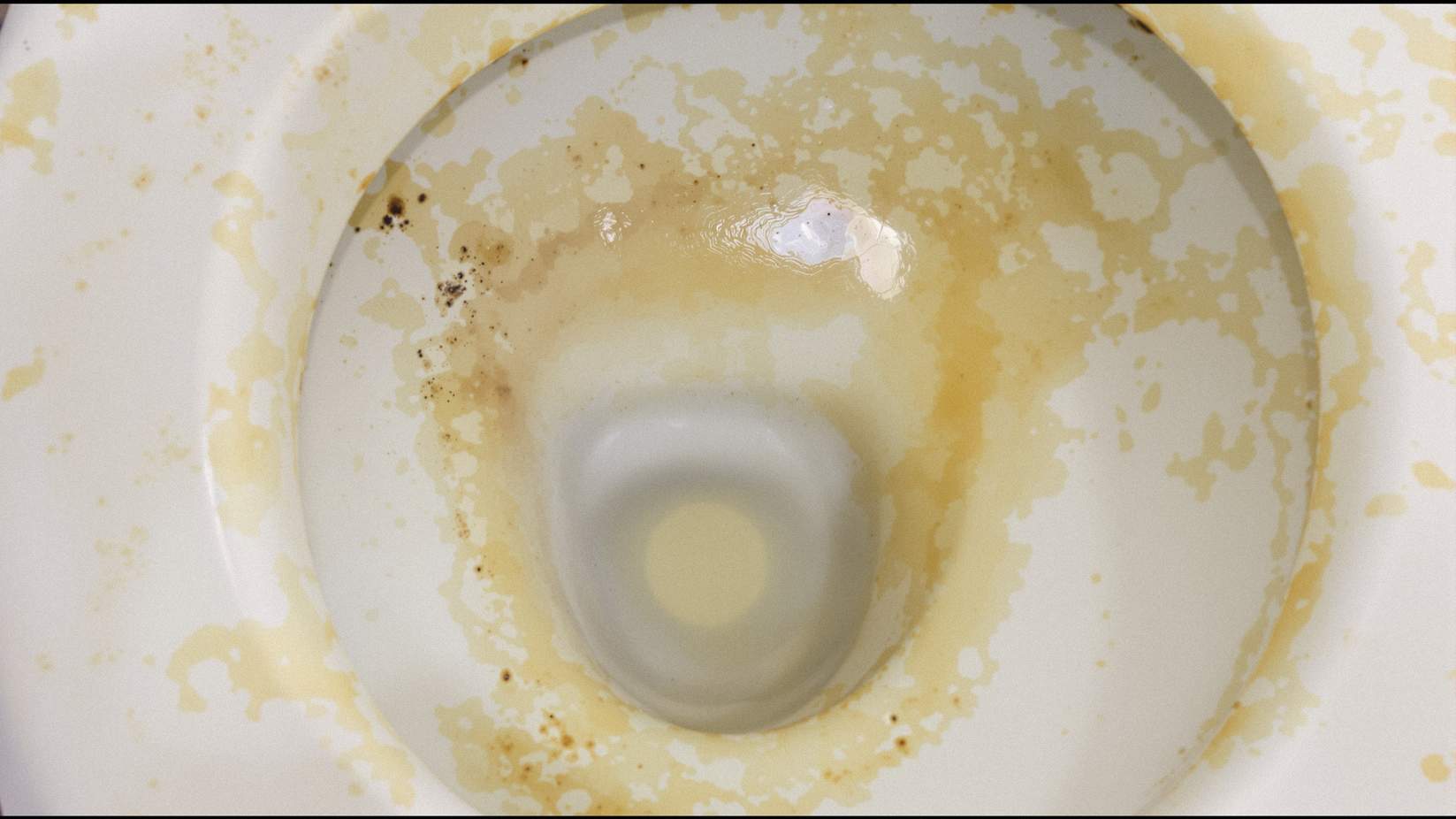 洗浄前のトイレ